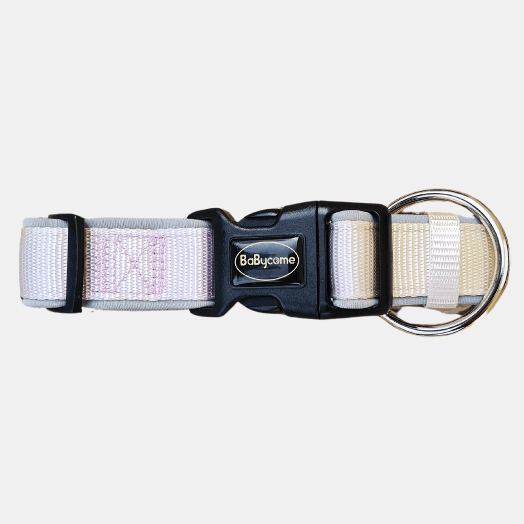 Collar Acolchado de Licra con Hebilla de Hierro para Perros