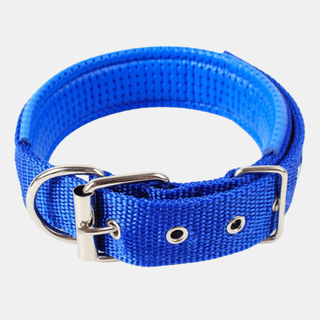 Collar Acolchado Nylon para perros