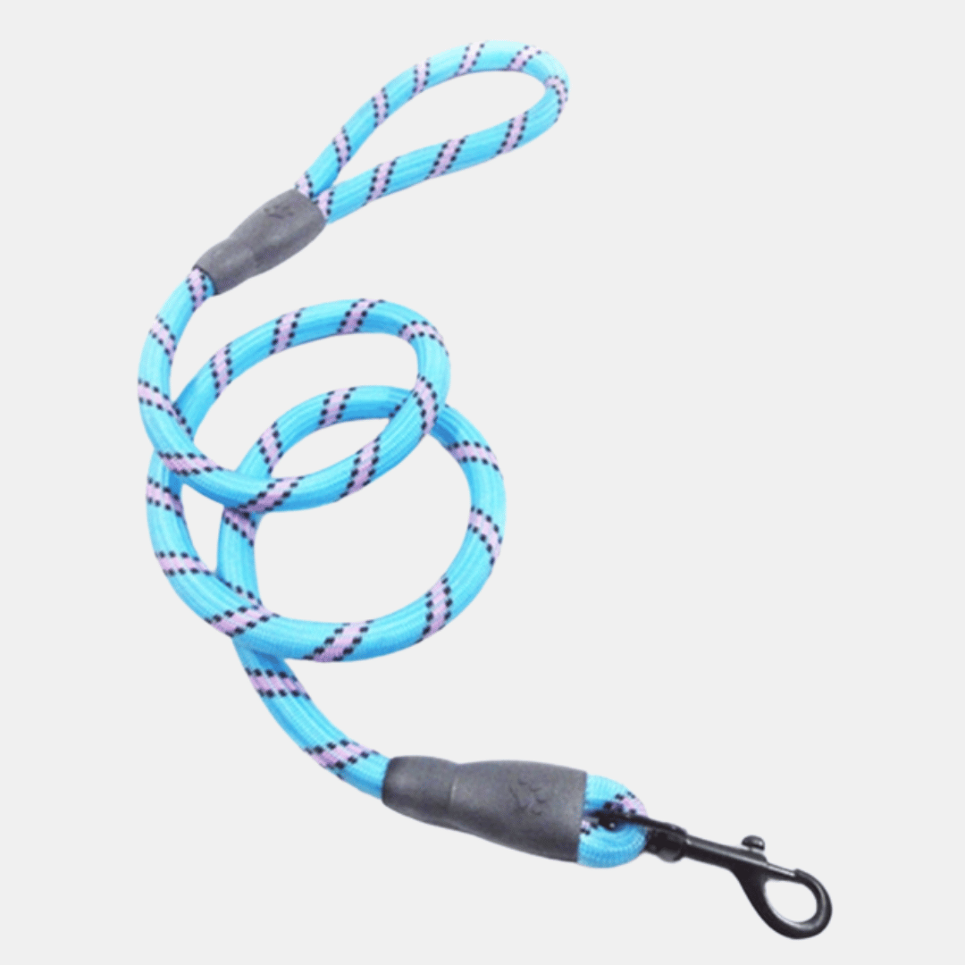 Correa Nylon elástico para perros