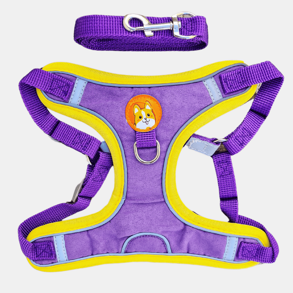 Arnés de Gamuza con Correa Reflectante para Perros