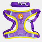 Arnés de Gamuza con Correa Reflectante para Perros