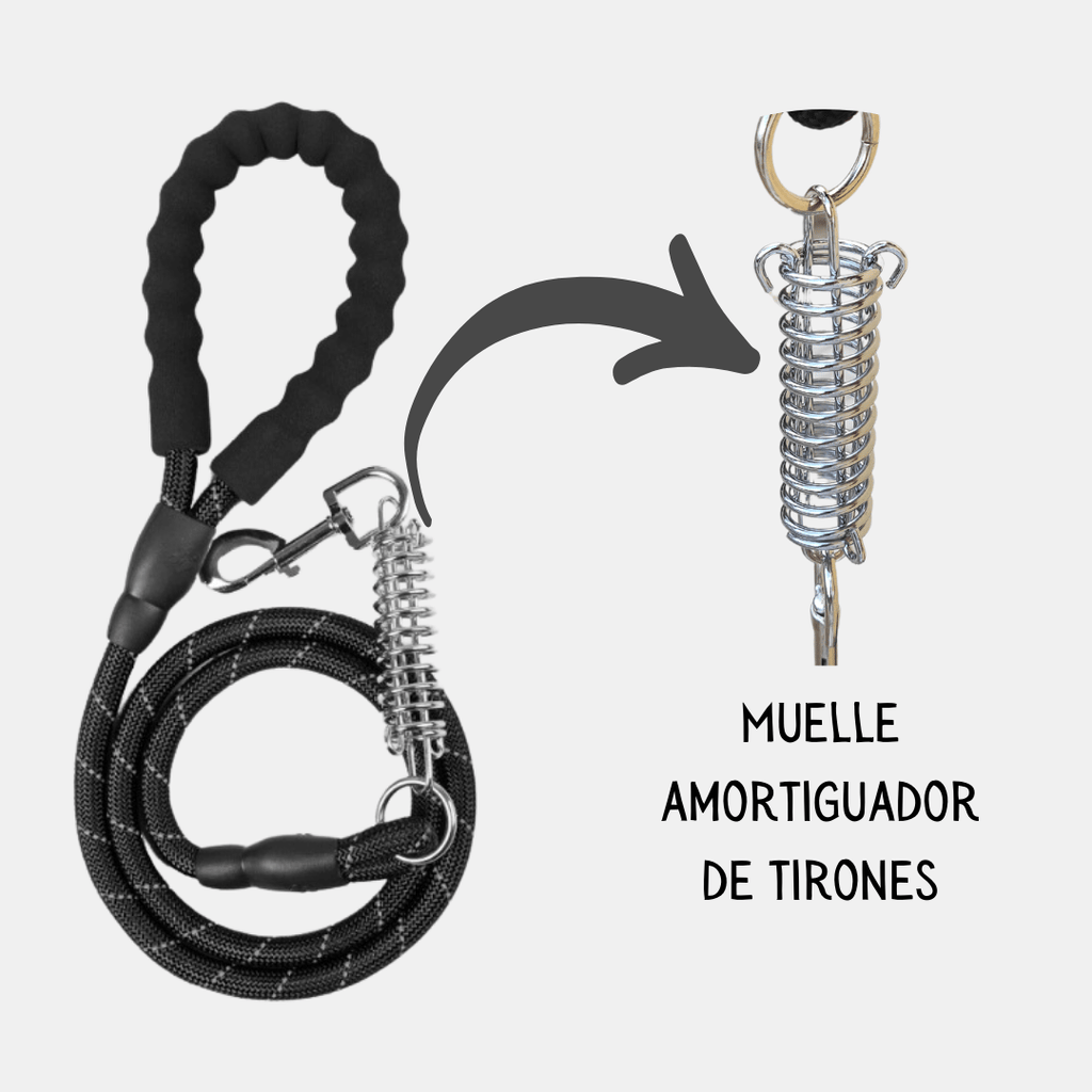 Correa de Nylon con Muelle de Amortiguación para Perros