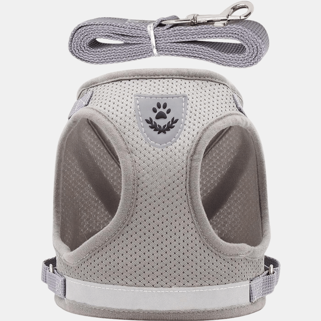 Arnés Chaleco Transpirable con Correa para Perros Pequeños y Gatos