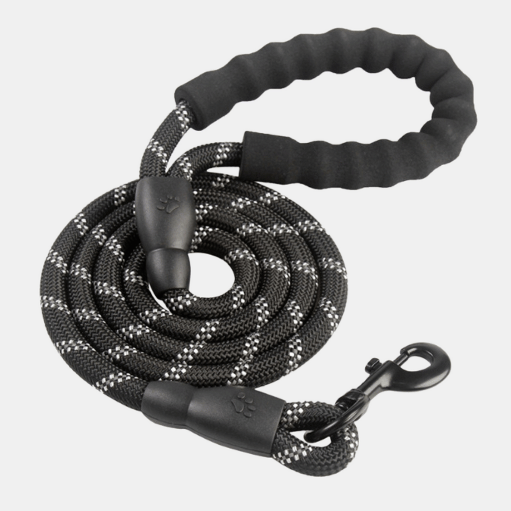 Correa Reflectante de Nylon con Mango de Espuma para Perros