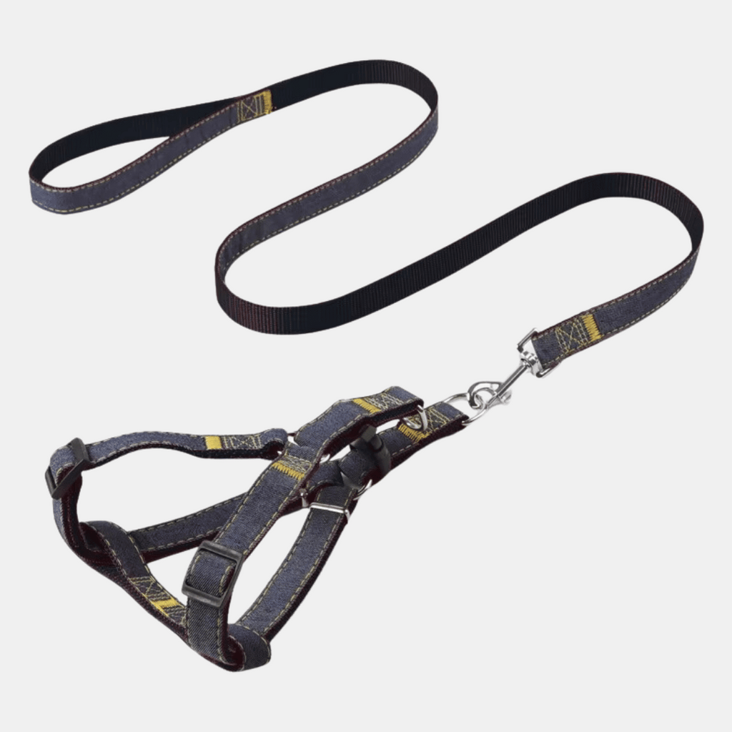 Conjunto Jean arnés + correa para perros