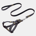 Conjunto Jean arnés + correa para perros