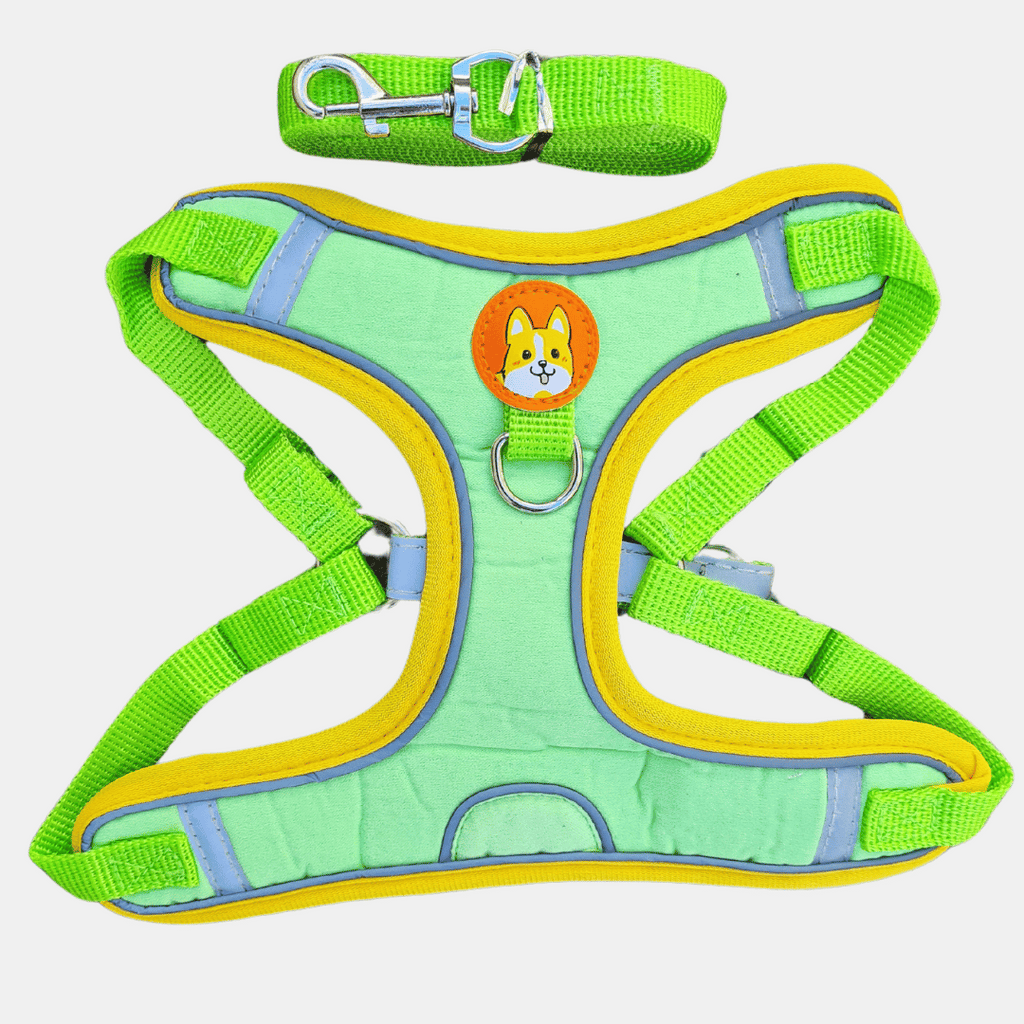 Arnés de Gamuza con Correa Reflectante para Perros