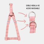 Conjunto Cuadros arnés + correa para perros