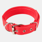 Collar Acolchado Nylon para perros