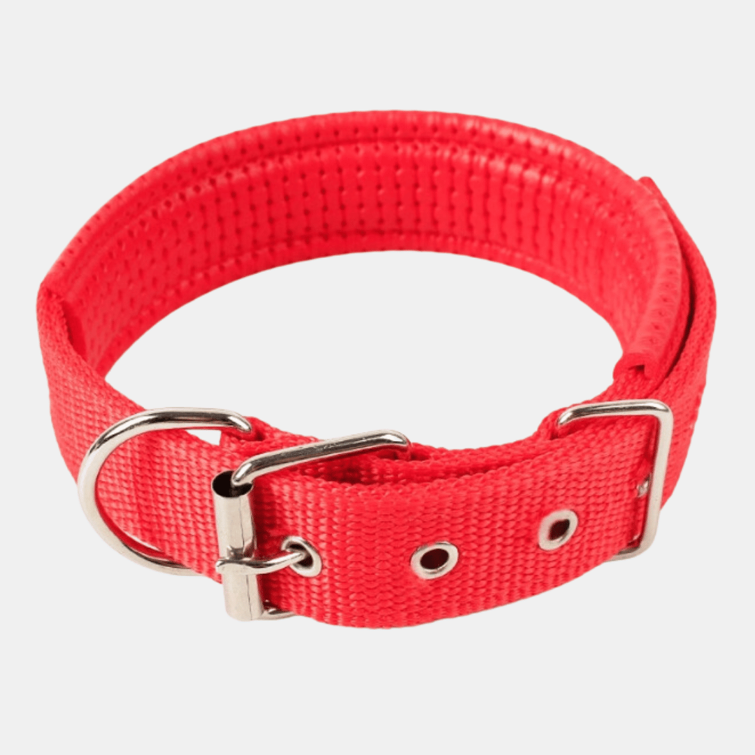 Collar Acolchado Nylon para perros