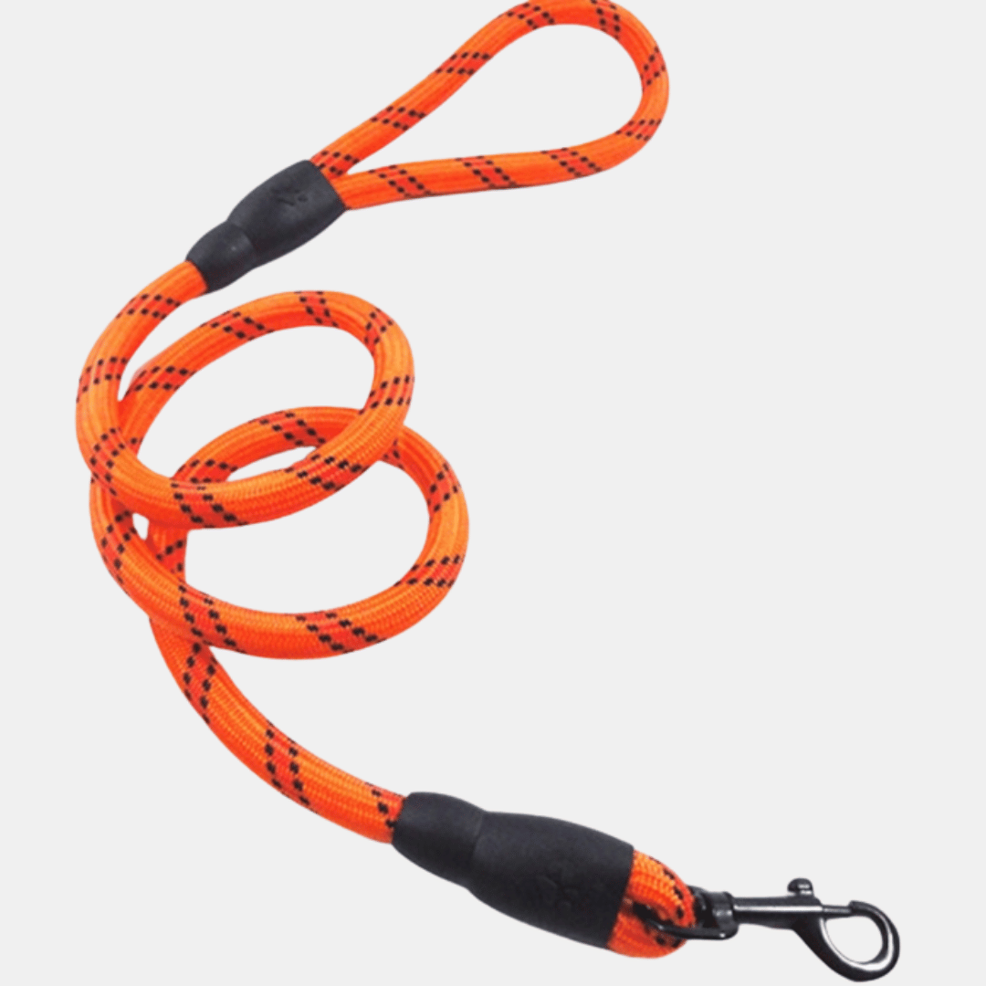 Correa Nylon elástico para perros
