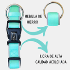 Collar Acolchado de Licra con Hebilla de Hierro para Perros
