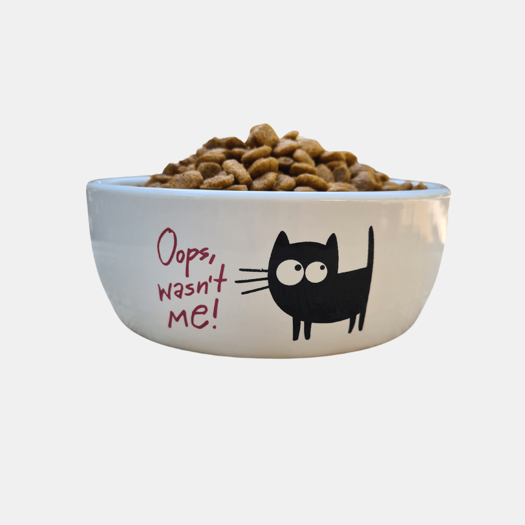 Cuenco de cerámica resistente gatito