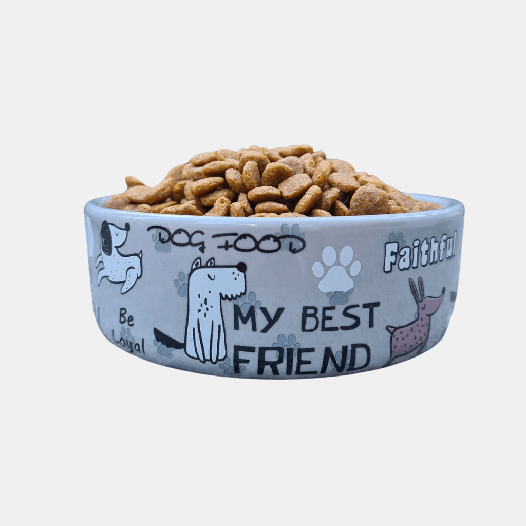 Cuenco de cerámica Cartoon para perros