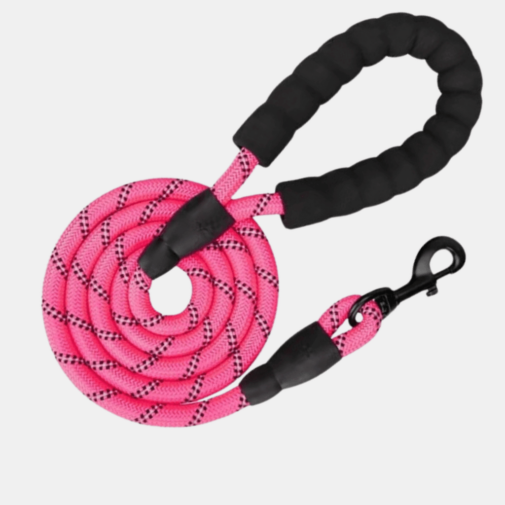 Correa Reflectante de Nylon con Mango de Espuma para Perros