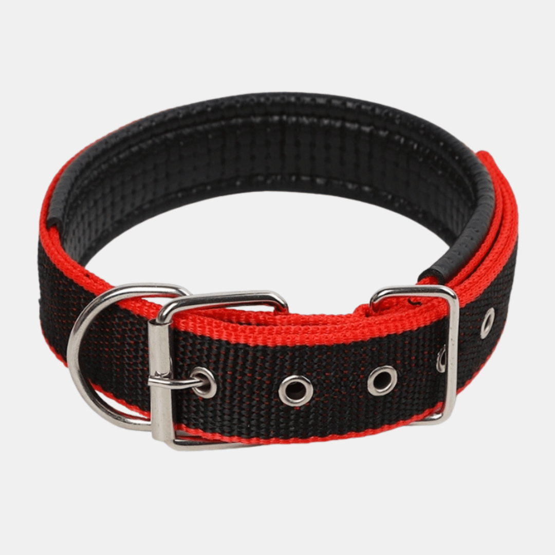 Collar Acolchado Nylon para perros