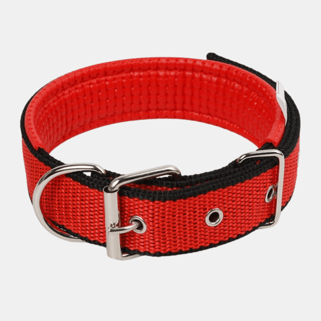 Collar Acolchado Nylon para perros
