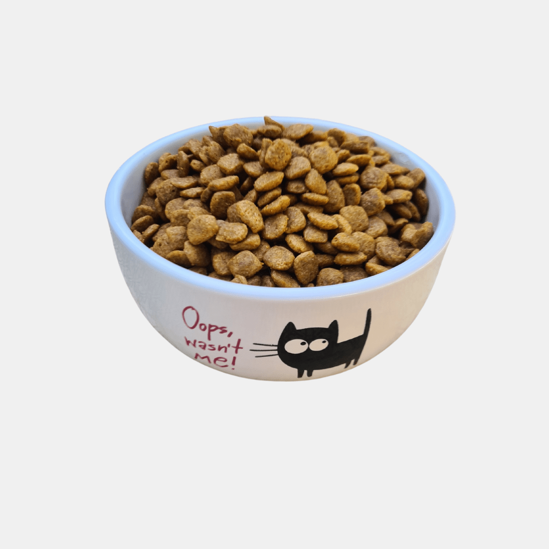 Cuenco de cerámica resistente gatito