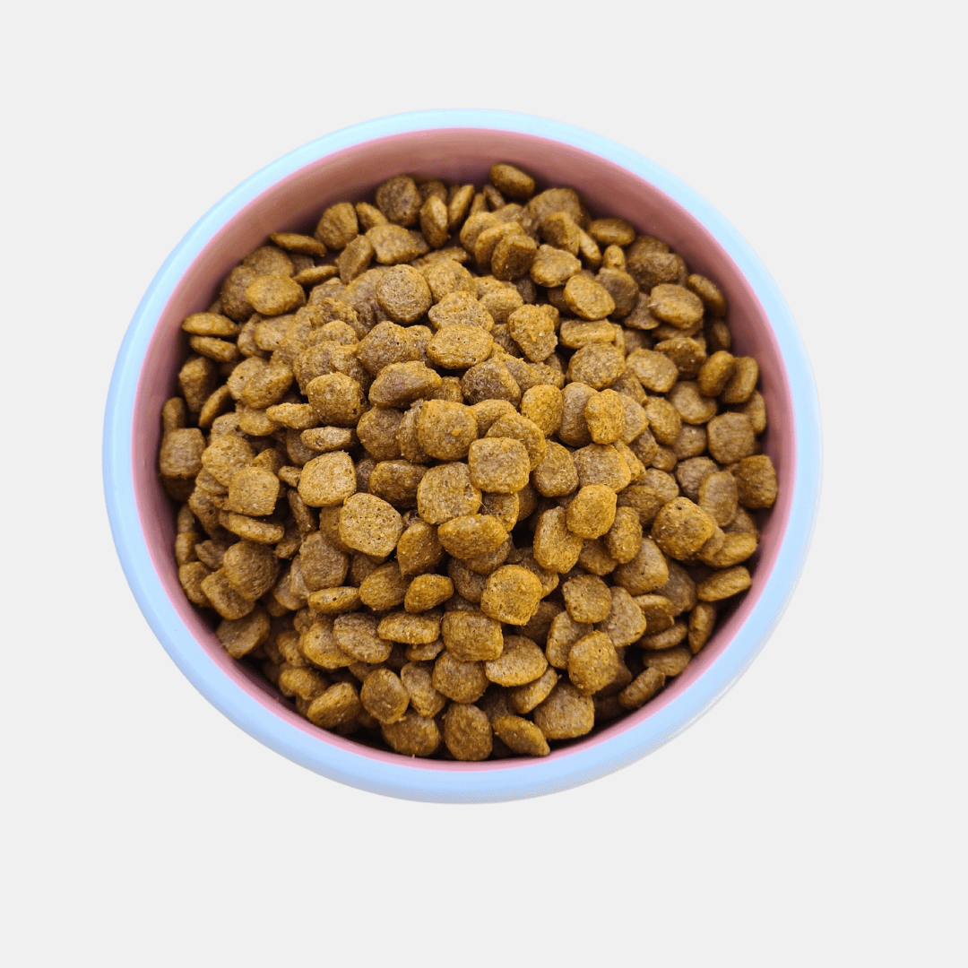 Cuenco de cerámica Unicornio para perros y gatos