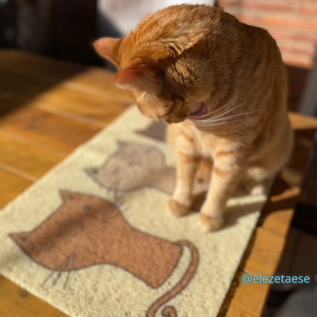 Alfombrillas para el hogar de gatos