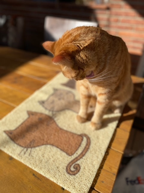 Alfombrillas de gatos para el hogar