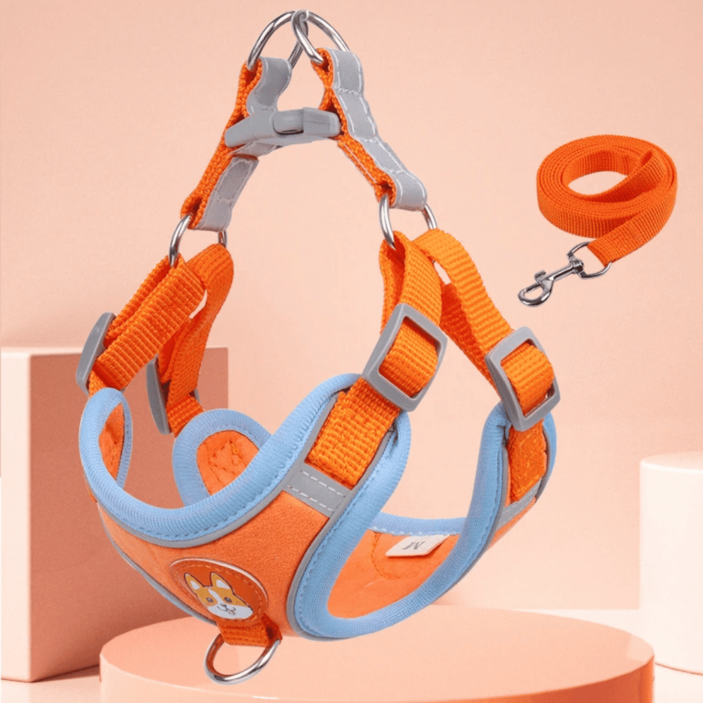 Arnés de Gamuza con Correa Reflectante para Perros