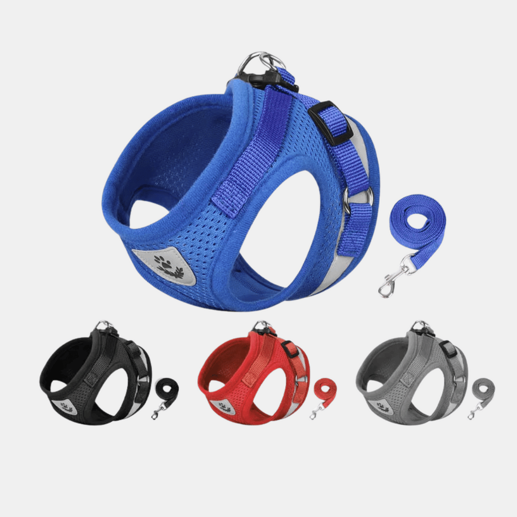 Arnés Chaleco Transpirable con Correa para Perros Pequeños y Gatos