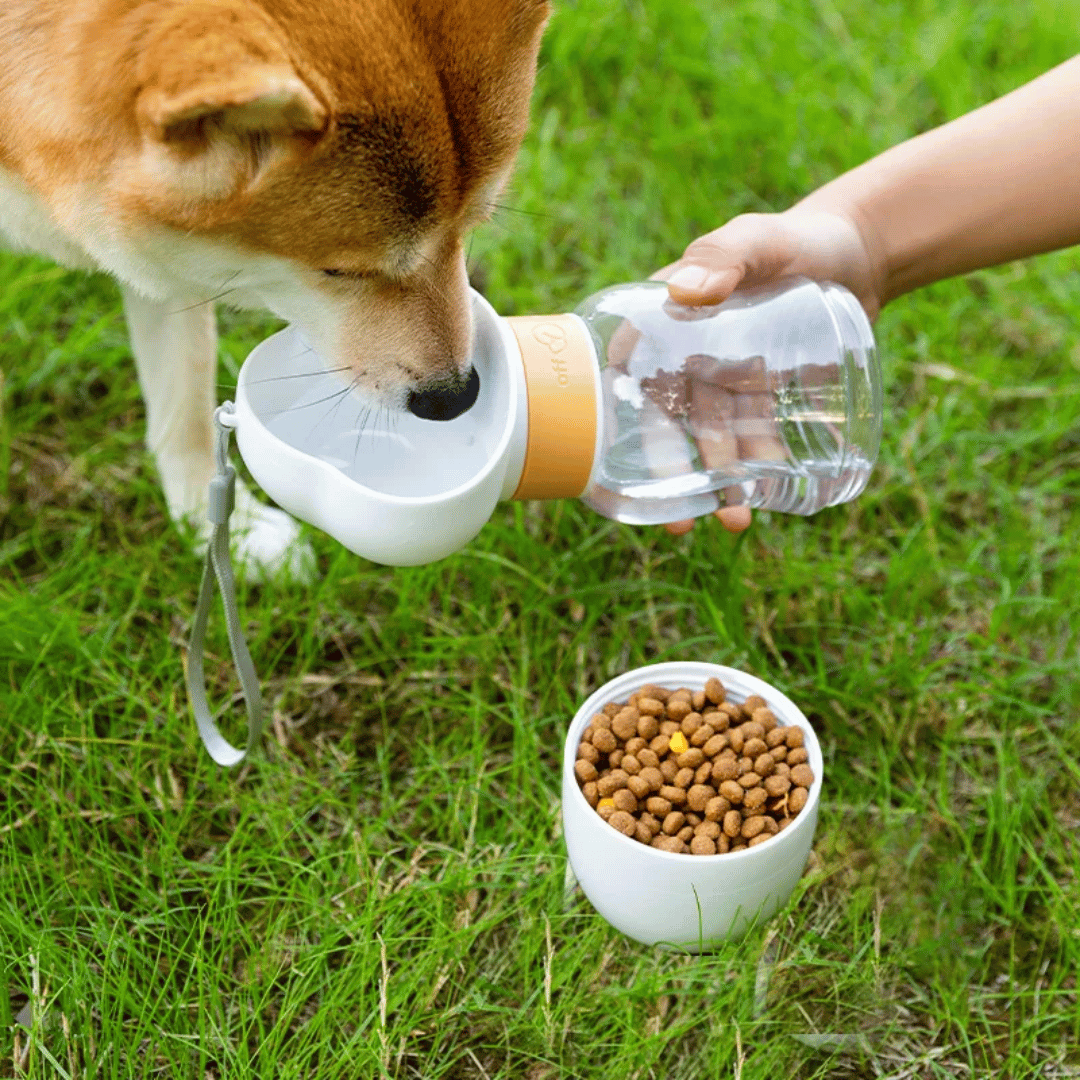 Bebedero portátil para perros y gatos