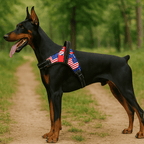 Arnés resistente para perros medianos y grandes