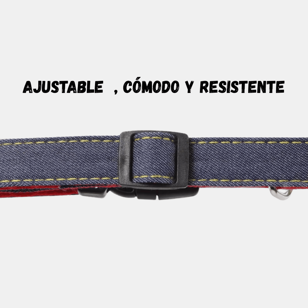 Conjunto Jean arnés + correa para perros