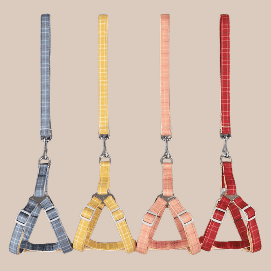 Conjunto Cuadros arnés + correa para perros