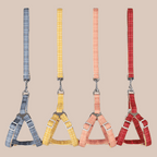 Conjunto Cuadros arnés + correa para perros