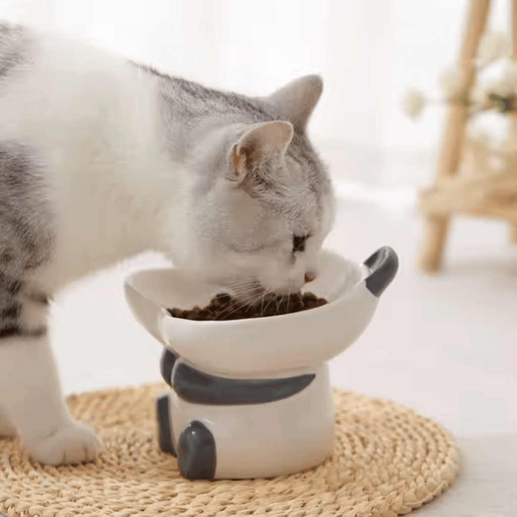 Gato comiendo de un cuenco elevado de diseño de panda