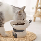 Gato comiendo de un cuenco elevado de diseño de panda