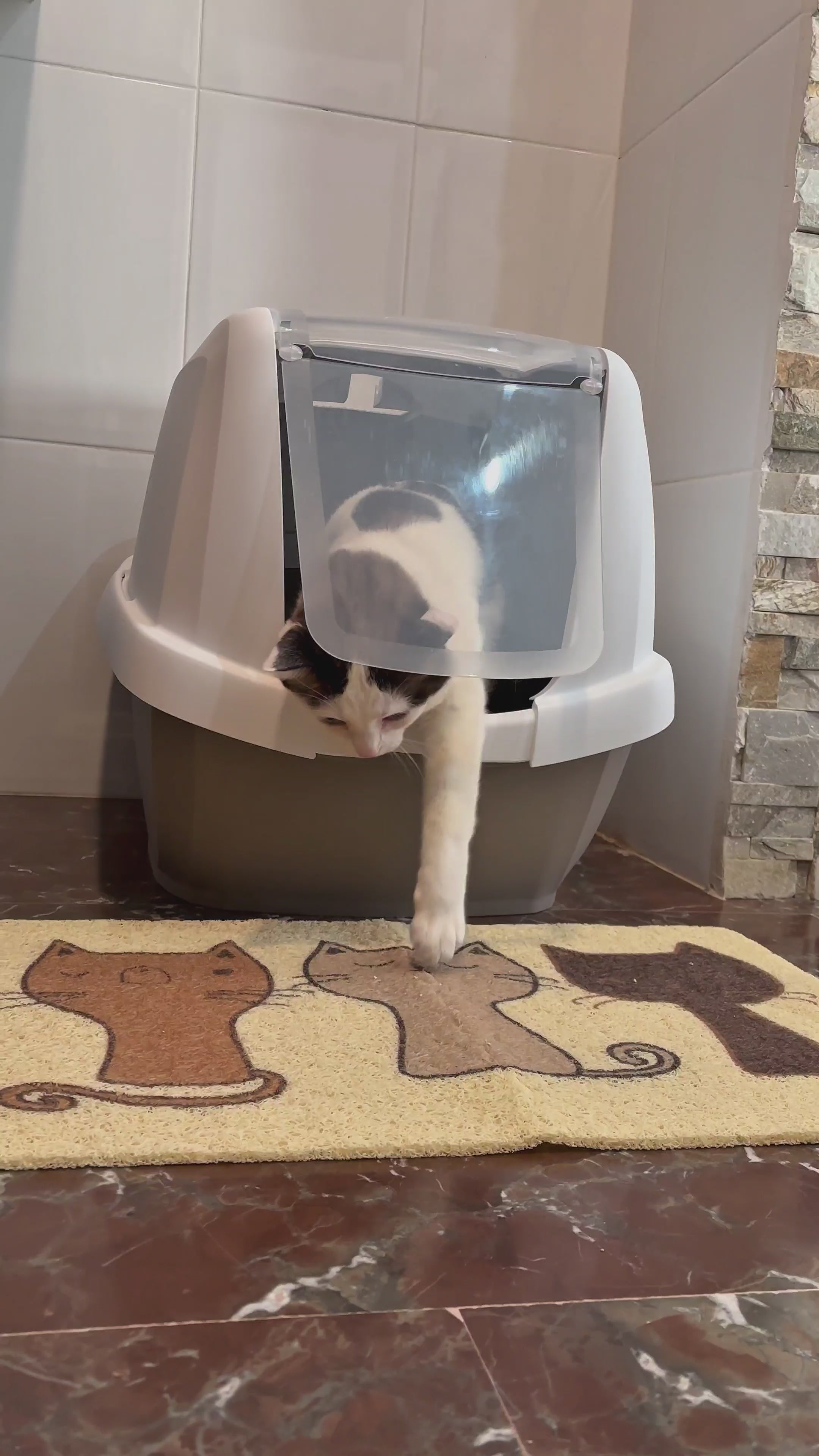 Alfombrilla para el arenero