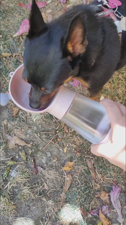 Bebedero portátil para perros - Rosa